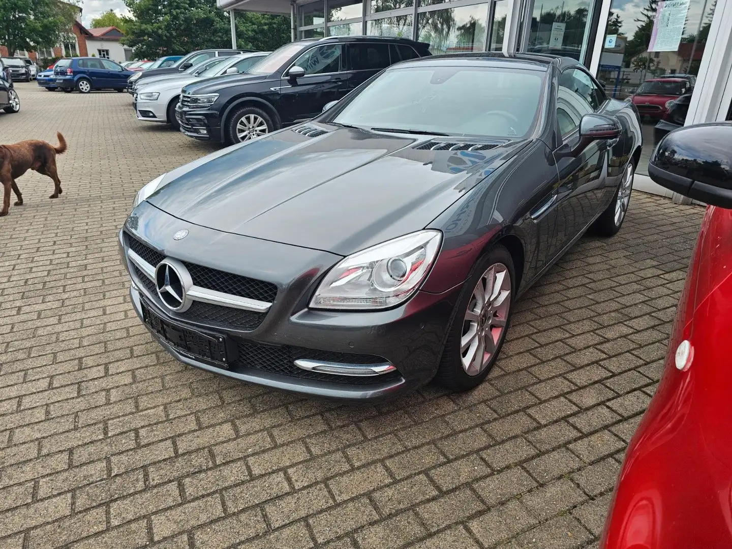 Mercedes-Benz SLK 250 CDI Roadster AIRSCARF SHZ LEDER TEMPOMAT Grey - 1