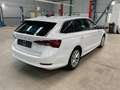 Skoda Octavia Combi 2.0 TDI First Edition AHK Virtual Blanco - thumbnail 4