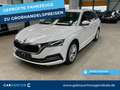 Skoda Octavia Combi 2.0 TDI First Edition AHK Virtual Blanco - thumbnail 1