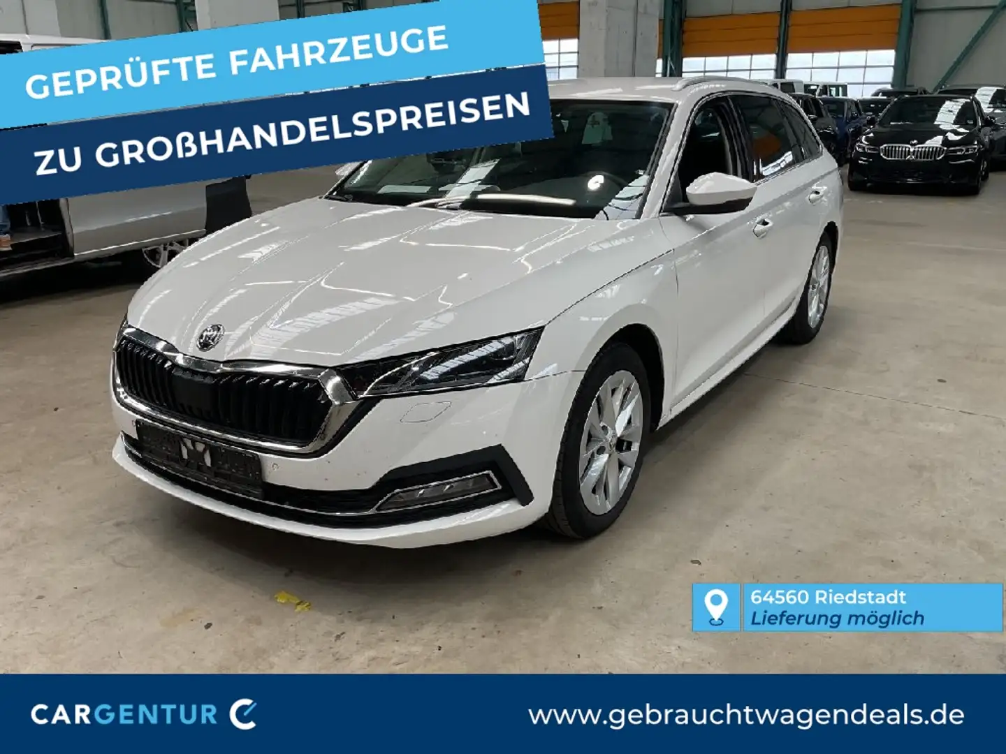 Skoda Octavia Combi 2.0 TDI First Edition AHK Virtual Blanco - 1