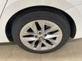 Skoda Octavia Combi 2.0 TDI First Edition AHK Virtual Blanco - thumbnail 13