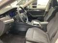 Skoda Octavia Combi 2.0 TDI First Edition AHK Virtual Blanco - thumbnail 8
