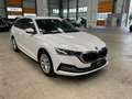 Skoda Octavia Combi 2.0 TDI First Edition AHK Virtual Blanco - thumbnail 6