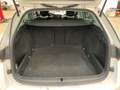 Skoda Octavia Combi 2.0 TDI First Edition AHK Virtual Blanco - thumbnail 12