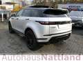 Land Rover Range Rover Evoque R-Dynamic SE Autom.Navi Pano Silber - thumbnail 11