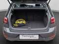 Volkswagen Golf e-Golf WÄRMEPUMPE DYNAUDIO Grau - thumbnail 17
