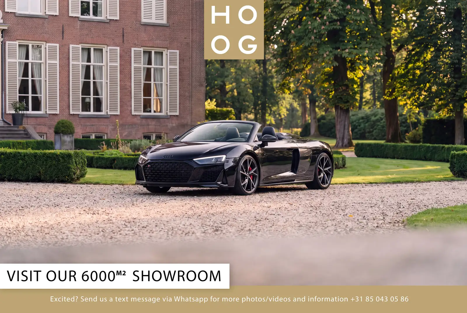 Audi Spyder V10 Performance