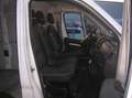 Fiat Ducato Maxi 180 L5H2 RS: 4035 mm-Navi-Klima-AHK-1.Hand Blanc - thumbnail 9