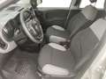 Fiat Panda 1.0 firefly hybrid City Life s&s 70cv 5p.ti Bianco - thumbnail 13