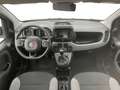 Fiat Panda 1.0 firefly hybrid City Life s&s 70cv 5p.ti Bianco - thumbnail 12
