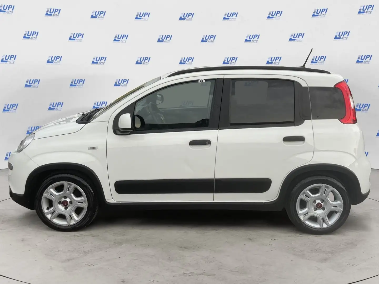 Fiat Panda 1.0 firefly hybrid City Life s&s 70cv 5p.ti Bianco - 2