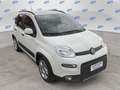 Fiat Panda 1.0 firefly hybrid City Life s&s 70cv 5p.ti Bianco - thumbnail 10