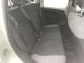 Fiat Panda 1.0 firefly hybrid City Life s&s 70cv 5p.ti Bianco - thumbnail 15