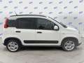 Fiat Panda 1.0 firefly hybrid City Life s&s 70cv 5p.ti Bianco - thumbnail 9