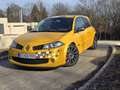 Renault Megane Sport F1-Team R26 - thumbnail 1