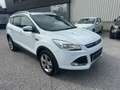 Ford Kuga 2,0 Diesel4x4 TDCI DPF Aut. Weiß - thumbnail 1