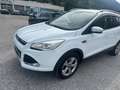Ford Kuga 2,0 Diesel4x4 TDCI DPF Aut. Weiß - thumbnail 7