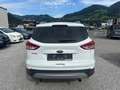 Ford Kuga 2,0 Diesel4x4 TDCI DPF Aut. Weiß - thumbnail 4