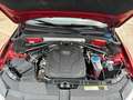 Audi Q5 2.0 TDI quattro  Off-Road Audi exclusive ACC Rood - thumbnail 42