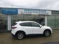 Mazda CX-5 CD175 AWD Revolution Weiß - thumbnail 1