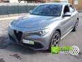 Alfa Romeo Stelvio 2.2  VELOCE 210 CV  Q4 PROMO FINANZIAMENTO Grau - thumbnail 1