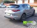 Alfa Romeo Stelvio 2.2  VELOCE 210 CV  Q4 PROMO FINANZIAMENTO Grau - thumbnail 5