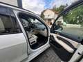 BMW X5 M X5 M Competition SPORT PANO+AHK+HUD+LASER+MEMORY Weiß - thumbnail 12