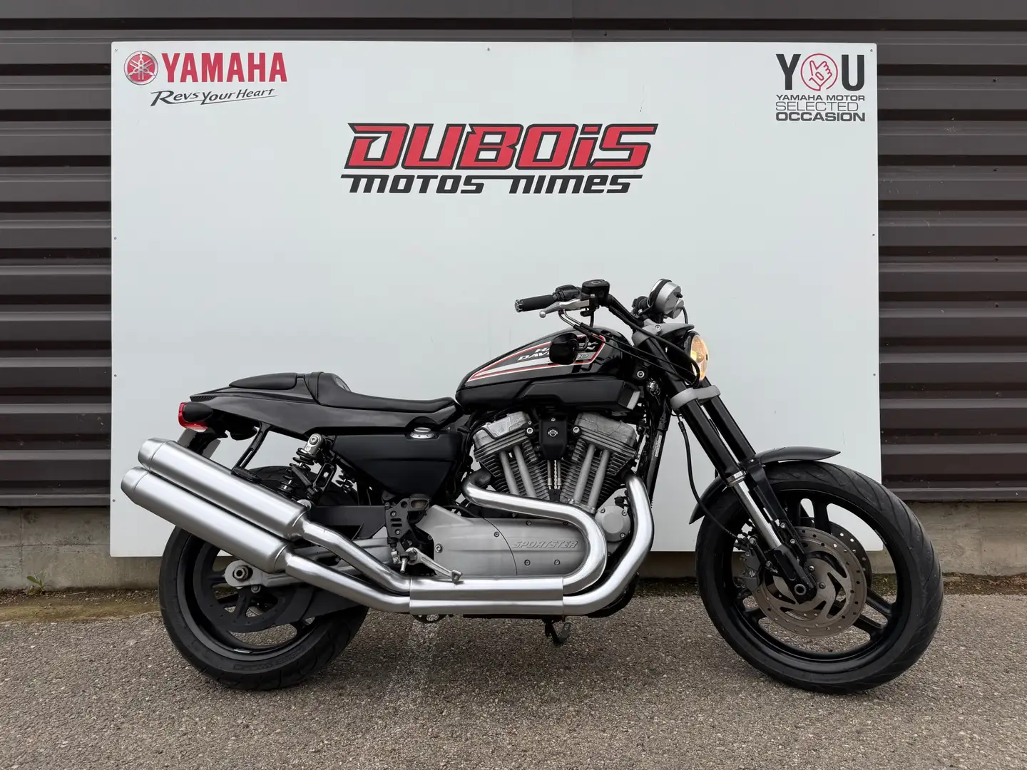 Harley-Davidson Sportster XR 1200 Black - 1
