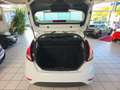 Ford Fiesta Trend Klimaanlage Weiß - thumbnail 10