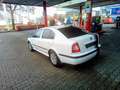 Skoda Octavia Lim. Ambiente1Hd,Klima TüV Neu,WenigKm Blanco - thumbnail 8