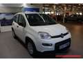 Fiat Panda Hybrid 1,0 GSE 51kW (70 PS) City-Paket DAB Spurhal Weiß - thumbnail 3