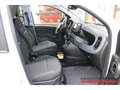 Fiat Panda Hybrid 1,0 GSE 51kW (70 PS) City-Paket DAB Spurhal Weiß - thumbnail 10