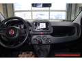 Fiat Panda Hybrid 1,0 GSE 51kW (70 PS) City-Paket DAB Spurhal Weiß - thumbnail 8