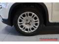 Fiat Panda Hybrid 1,0 GSE 51kW (70 PS) City-Paket DAB Spurhal Weiß - thumbnail 14