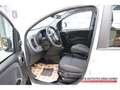 Fiat Panda Hybrid 1,0 GSE 51kW (70 PS) City-Paket DAB Spurhal Weiß - thumbnail 7