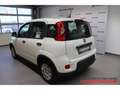 Fiat Panda Hybrid 1,0 GSE 51kW (70 PS) City-Paket DAB Spurhal Weiß - thumbnail 6