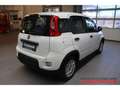 Fiat Panda Hybrid 1,0 GSE 51kW (70 PS) City-Paket DAB Spurhal Weiß - thumbnail 4