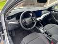 Skoda Octavia 1.5 TSI mHEV 110 kW Selection,AHK,SHZ,RFK,ACC Argent - thumbnail 12