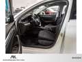 Skoda Octavia III Combi STYLE TDI DSG+AHK+ALU 17''+RÜCKFAHRKAMER Blanco - thumbnail 12