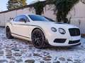 Bentley Continental Continental GT3-R satellite navigation1 Weiß - thumbnail 1