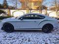 Bentley Continental Continental GT3-R satellite navigation1 Weiß - thumbnail 6