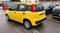 Fiat Panda 1.0 firefly hybrid ICON s&s 70cv 5p.ti Gelb - thumbnail 4