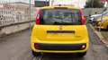 Fiat Panda 1.0 firefly hybrid ICON s&s 70cv 5p.ti Gelb - thumbnail 5