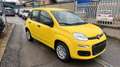 Fiat Panda 1.0 firefly hybrid ICON s&s 70cv 5p.ti Gelb - thumbnail 3