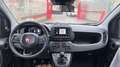 Fiat Panda 1.0 firefly hybrid ICON s&s 70cv 5p.ti Gelb - thumbnail 12