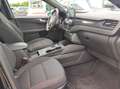 Ford Kuga Plug-In Hybrid ST-Line *Kamera Vorn/AHK/HuD Schwarz - thumbnail 8