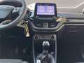 Ford Fiesta 5p 1.1 Titanium 75cv Blu/Azzurro - thumbnail 14