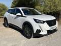 Peugeot 2008 1.5BlueHDi S&S Active Pack 110 Blanco - thumbnail 3