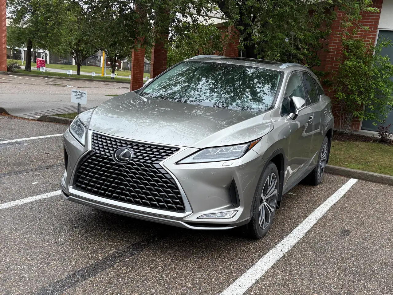 Lexus RX fotografie Lexus RX