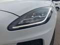 Jaguar E-Pace S 2.0D 150HP AWD A9 R-DYNAMIC - thumbnail 10